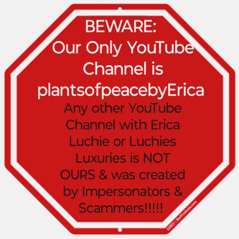 Beware of Fake Accounts Posing As Erica Luchie Or Luchies Luxuries!!!!